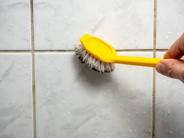 Best Water Damage Restoration  in Avis, PA