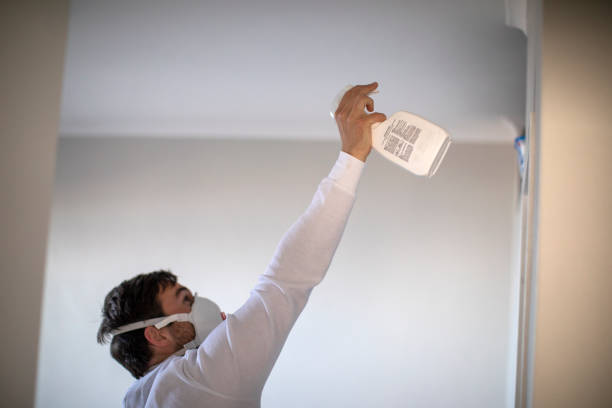 Best Mold Inspection  in Avis, PA