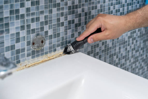 Best Mold Remediation Services  in Avis, PA